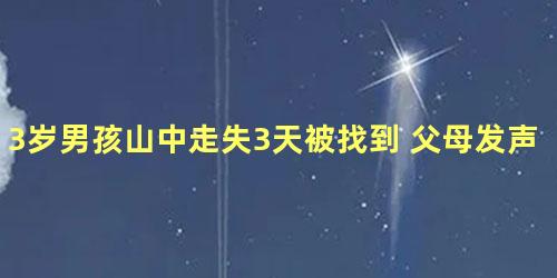 3岁男孩山中走失3天被找到 父母发声